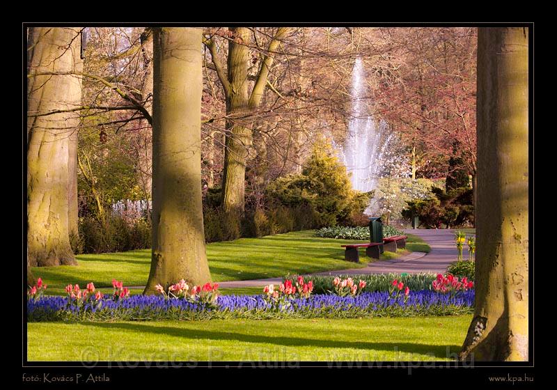 Keukenhof Hollandia 078.jpg